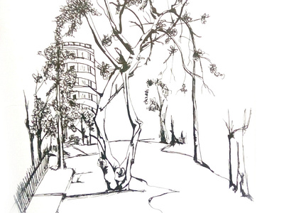 A Tree In Zamalek cairo drawing egypt illustration illustration art ink landscape street art zamalek
