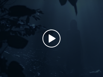 Acqua di Gioia Microsite Video