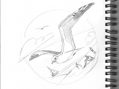 Seagull. Just a sketch. bird flat flight illustration minimalism minimalist sea seagull sketch summer