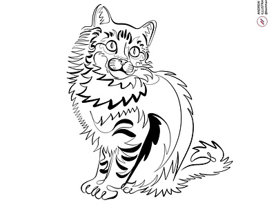 Norsk Skogkatt Cat, Continuous Line Illustration