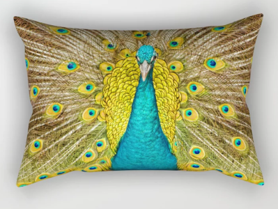 the plumage of the peacock rectangular pillows beautiful colorful design design art minimalism peacock photography pillow product