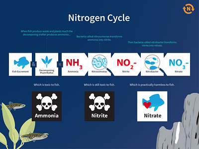 FW Tanks Nitrogen Cycle Chart design illustration illustration art