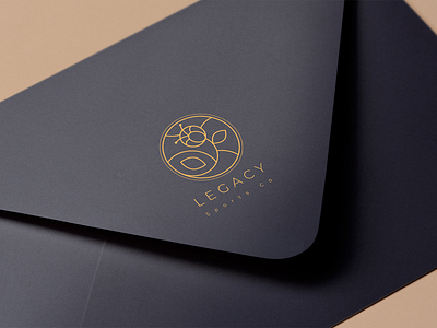 Envelope Design: Sport envelop design graphic graphic design logo logo design luxury