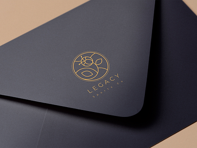 Envelope Design: Sport