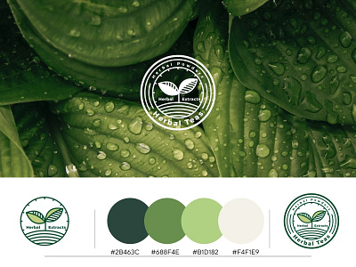 Logo Design: Herbal Tea branding design graphic graphic design herbal tea illustration india logo tea typography ui ux vector