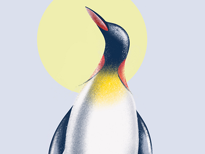 Penguin 2d animal animal art artwork illustration minimal penguin procreate procreate brushes