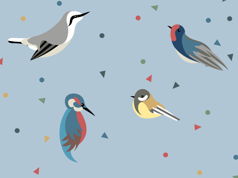 Birds & Confetti by Charlotte Langstroth on Dribbble