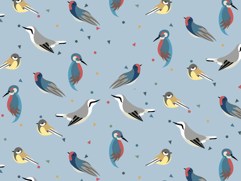 Birds & Confetti by Charlotte Langstroth on Dribbble