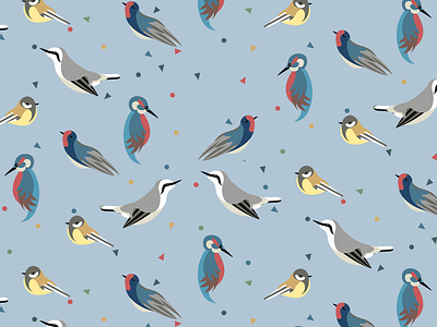Birds & Confetti animals bird birds illustration nature pattern pattern design print design surface design surface pattern design vector