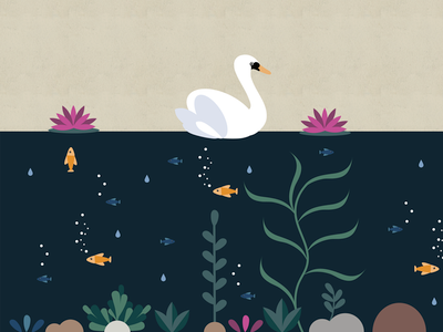 Pond