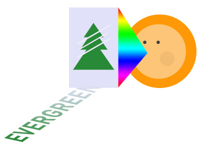 final logo for a tree busness design evergreen glass logo mark sun tree type