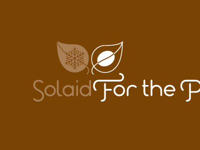 SolAid (Snow On Leaf) For the Price of a Coffee 38one education health identity leaf logo ngo non profit snow snow on leaf solaid