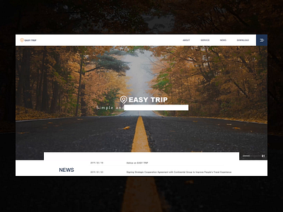 Easy Trip Web Design2 ui web