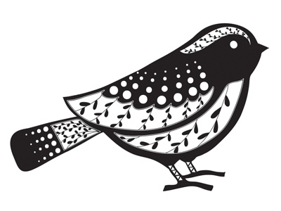Bird Illustration bird digital illustrator