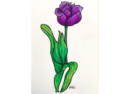 Lone Tulip flower illustration micron pens sakura watercolor