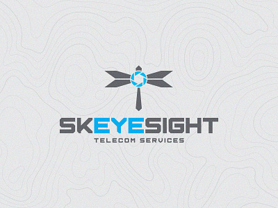 Skeyesight Telecom Services logo typography vector