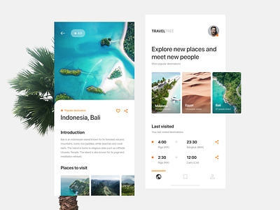 TravelTree — Travel App app art branding clean design flat illustration interface ios mobile travel ui ux web