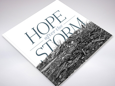 Hope After The Storm Cover Mockup animals book cover design editorial graphic design layout oklahoma tornado type typography
