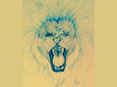 Lion lion