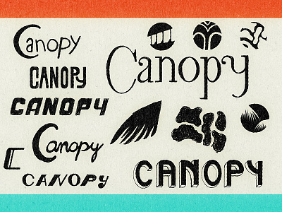 Canopy Logo Concept WIP