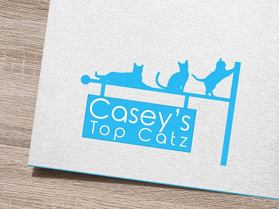 Caseys Top Catz | Logo Design | Graphic Design brand and identity branding design grahic design graphics logo logo design