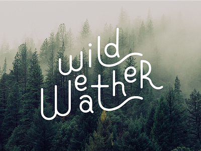 Wild Weather Logo Exploration album design identity line logo script typography weather wild