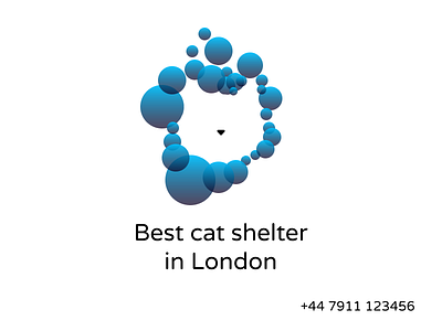 Cat shelter