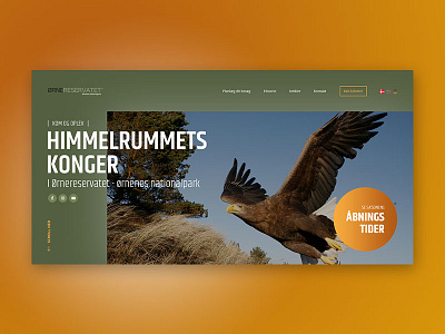 Eagleworld - website (design) branding design graphic design ux web webdesign
