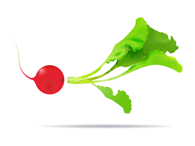 A Floating Radish floating illustration no reason radish vector