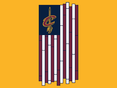 NBA Court Flag