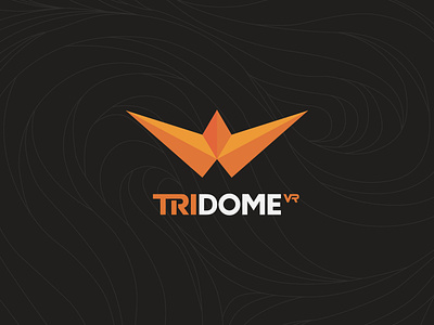 TridomeVR logo logo desig tridome vr vr logo