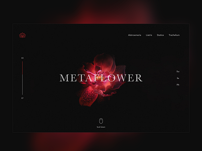 ▲ Metaflower ▲ flower landing page ui user interface ux ux ui design webdesig
