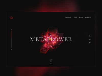 ▲ Metaflower ▲