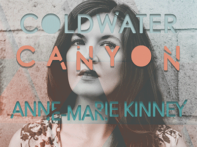 anne-marie kinney author gif animated gif animation author gif book marketing book publishing design gif gif animation gif art gif artist motion graphics promotional graphics publishing social media graphics stop motion stopmotion