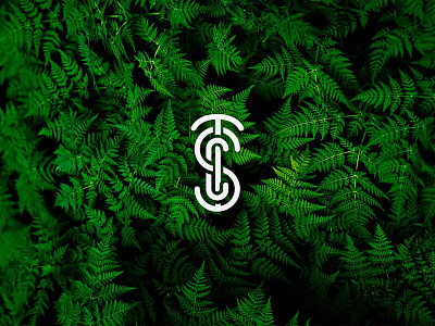 TSC logo custom logo design logo design minimalistic typogaphy