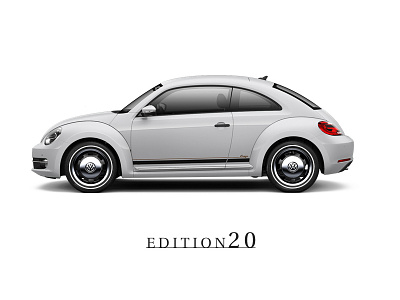 Edition 20 - Beetle