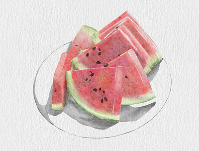 Watermelon procreat watercolor illustration