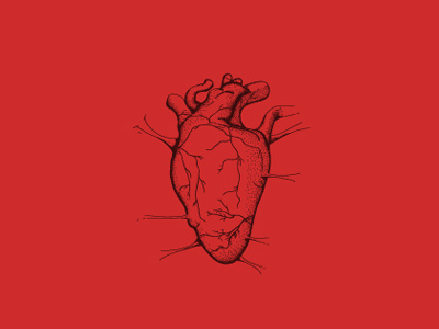 Heart heart illustration red