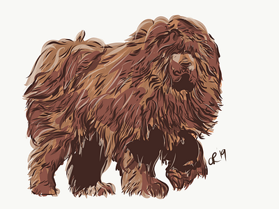 Tibetan mastiff animals concept dogs drawing illustrator rough sketch vector art