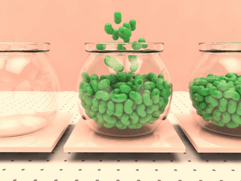 green jelly bean factory