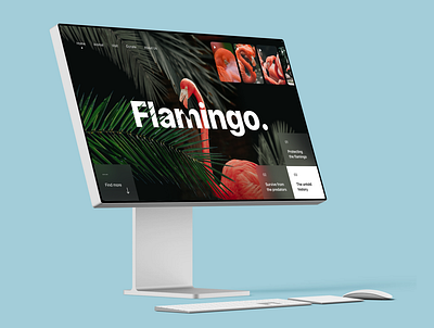 Flamingo Website adobexd appdesign behance branding dailyui desainer design designer designinspiration dribbble figma graphic design ui uidesign uitrends uiux userexperience userinterface ux uxdesign