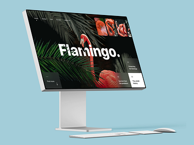 Flamingo Website