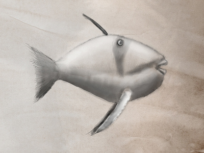 Fish Sketch animal black and white fish rough sketch