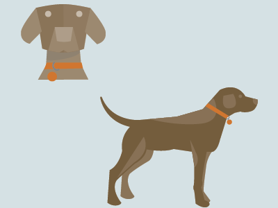 Pet Illustrations-Style development dog illustration infographic vector