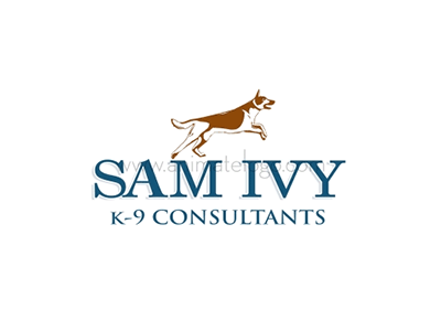 Sam Ivy 2dlogoanimation 3dlogoanimation animation design logo logoanimation logodesign logodesigner logodesignersclub logoinspiration