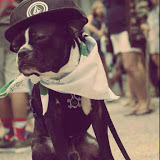 VICTORLIN