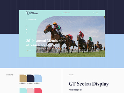 Naas Racecourse Website design horse racing ui website