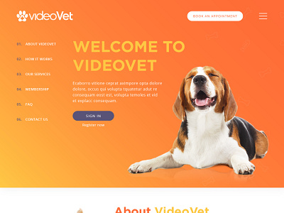 Videovet