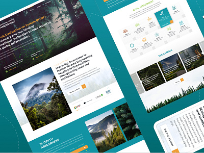 New York Declaration on Forests - Climate Focus design desktop dublin forest mockup ui ux visual design website