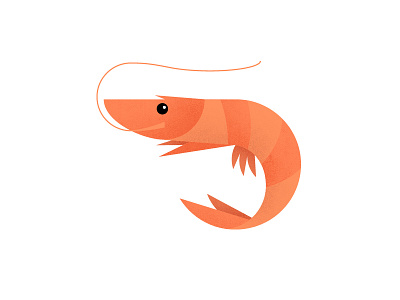 Prawn illustration orange prawn seafood shrimp